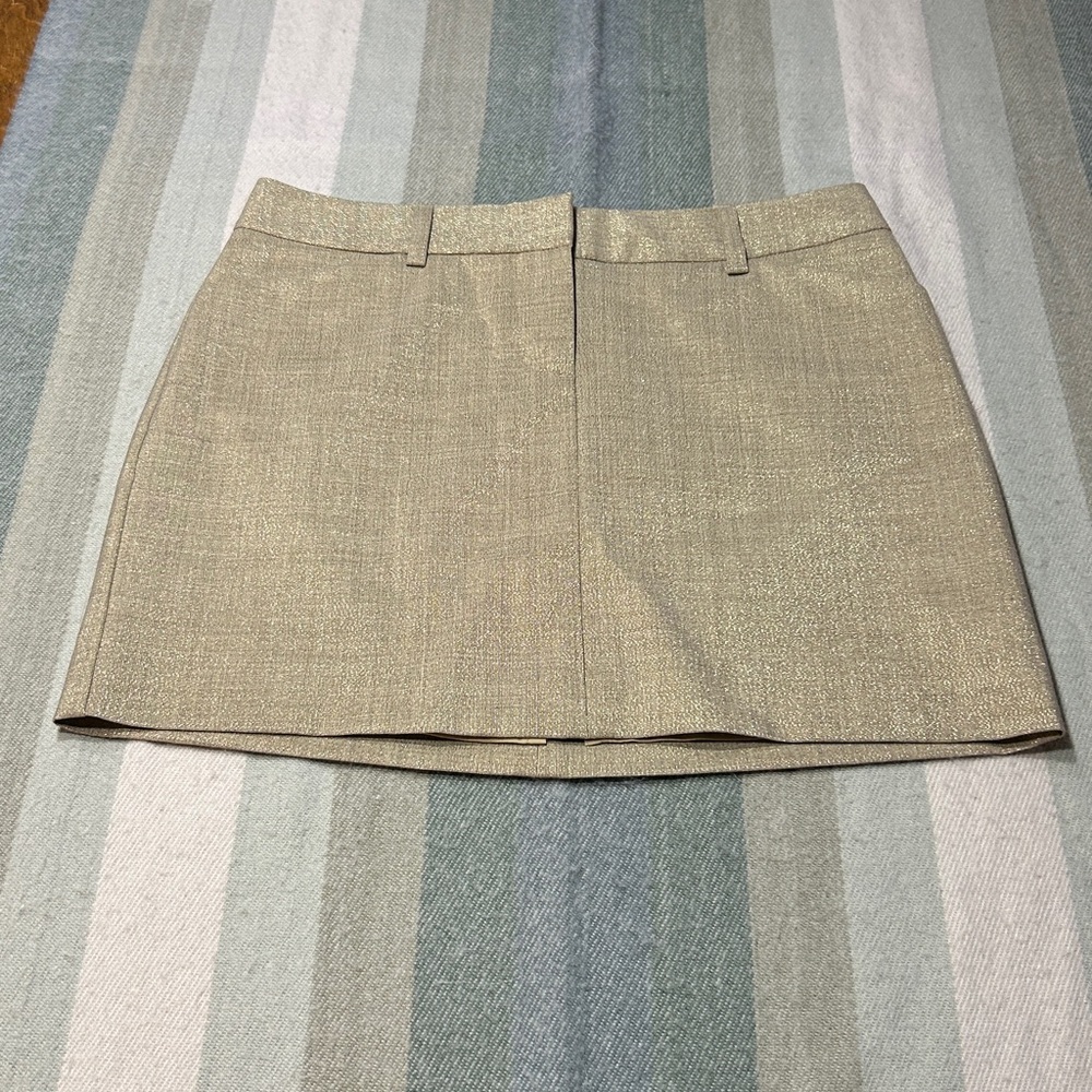 Express Design Studio  Sz 2 skirt